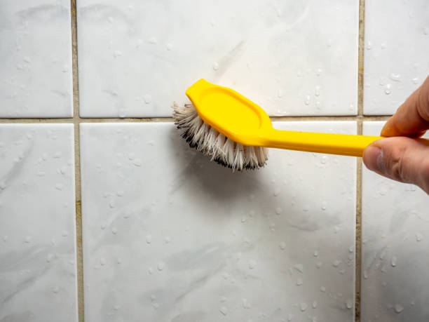 Home Mold Removal in Hattiesburg, MS