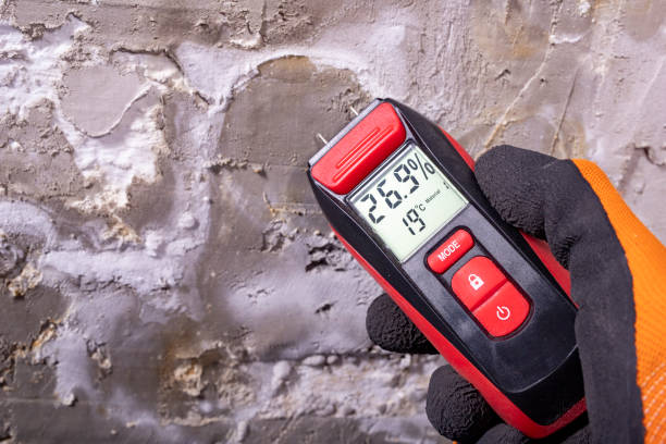 Best Attic Mold Removal  in Hattiesburg, MS