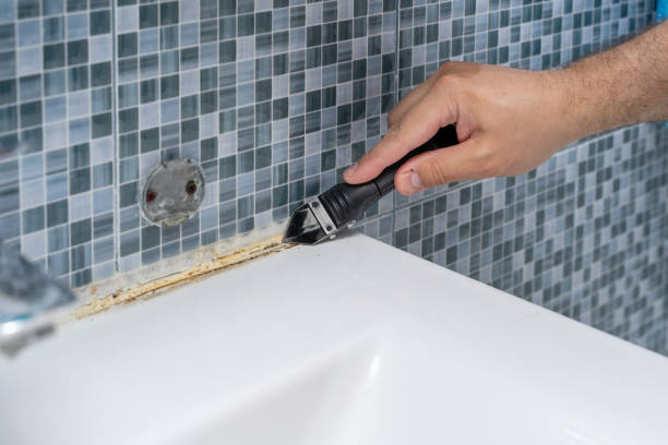 Best Mold Removal Company Near Me  in Hattiesburg, MS